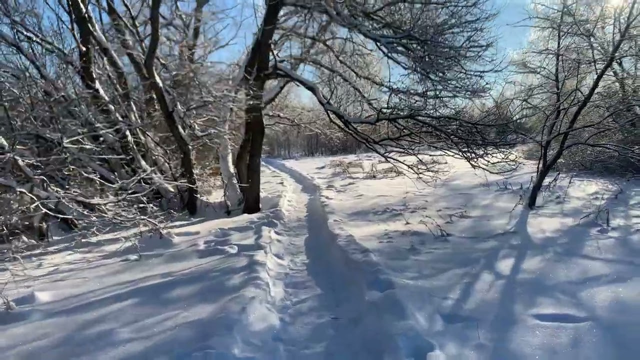 Snow&Walk ASRM
