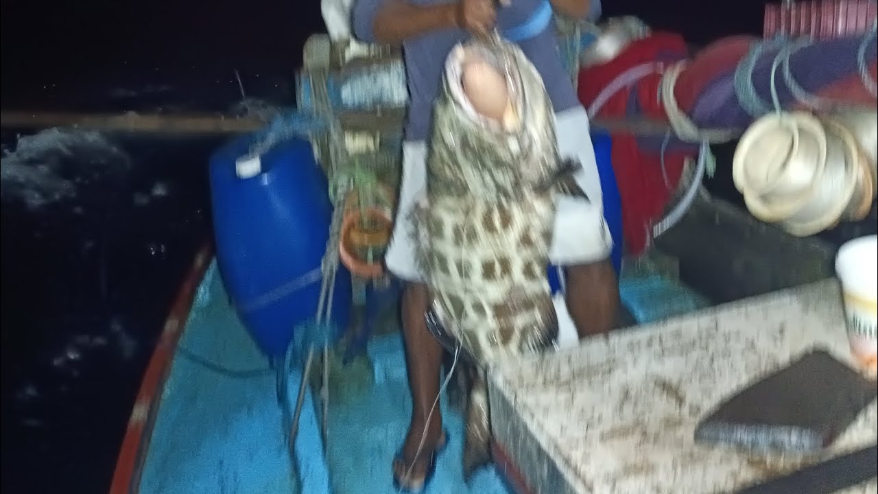 FISGADA DE SIRIGADO | @pescaabencoada 😱🎣