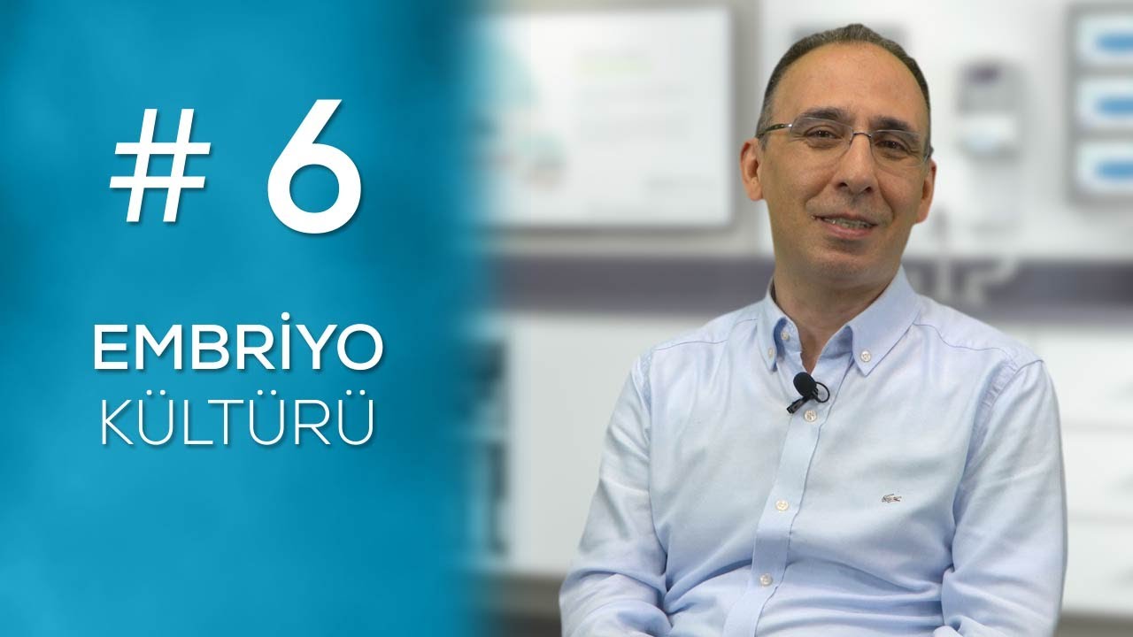 EMBRİYO KÜLTÜRÜ #6