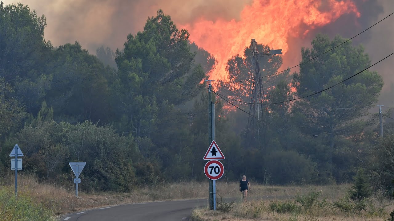 Feu de forêt à Aubais et Gallargues Le Montueux 31-07-2022