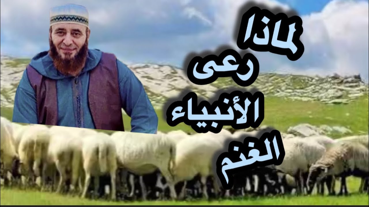 لماذا جعل الله كل الأنبياء رعاة للغنم ..؟
