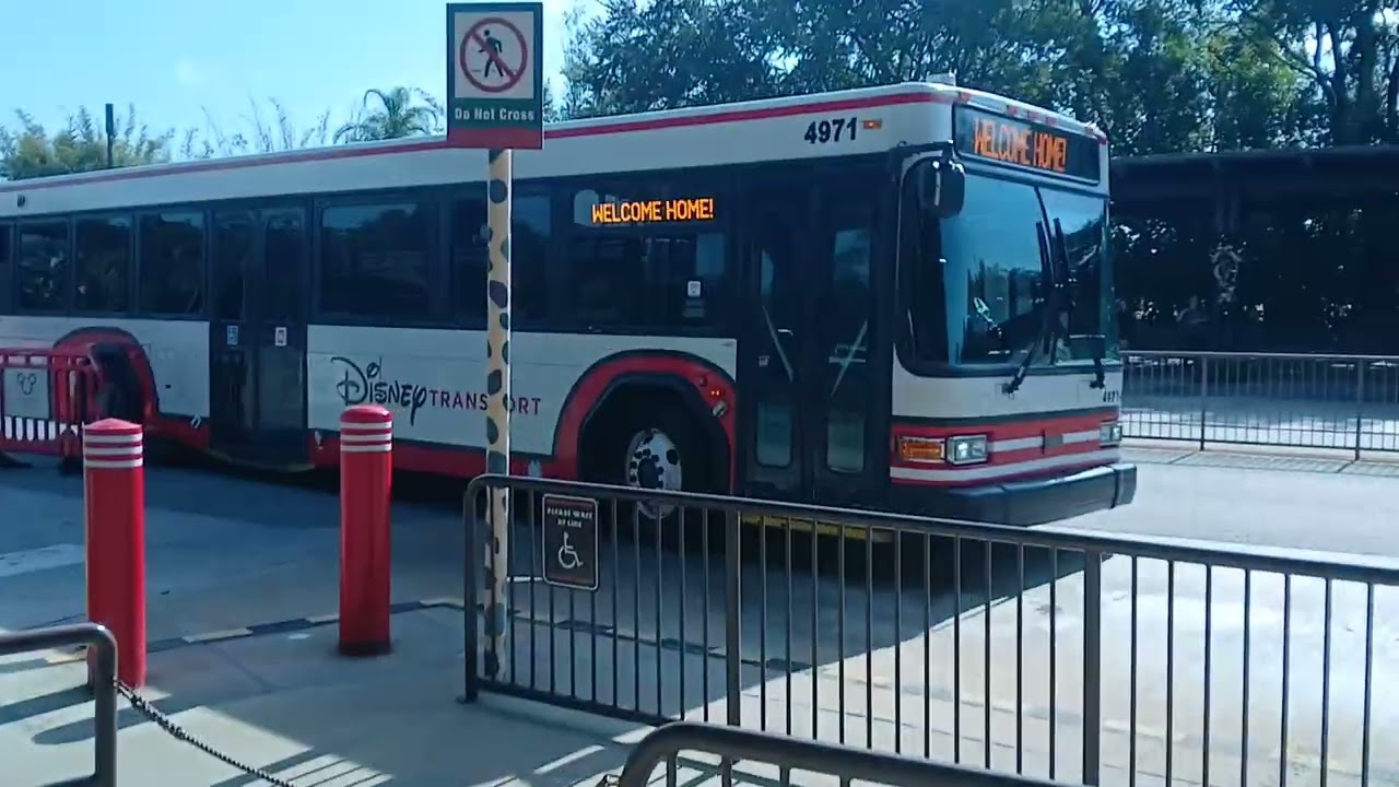 All of Disney Transport Buses