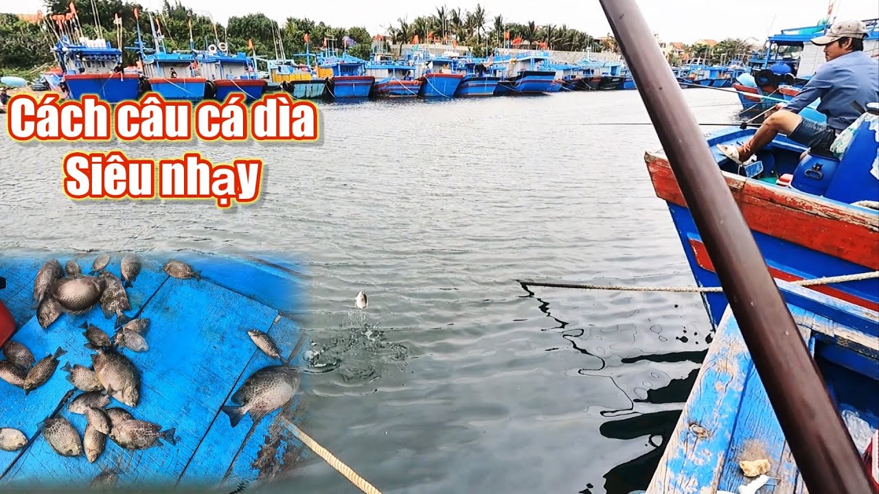 Câu cá dìa bằng rường cơm