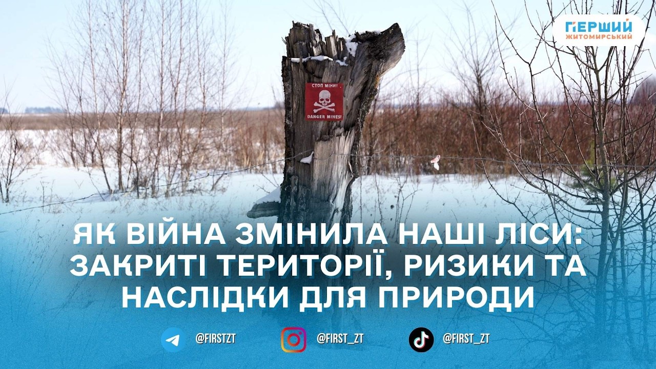 1461 день повномасштабного вторгнення: як 4 роки агресії змінили природу серця Поліського регіону?