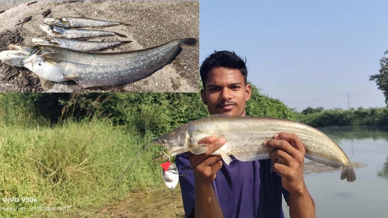 //amazing big pathan fishing hunting video//🐟🐟🐟