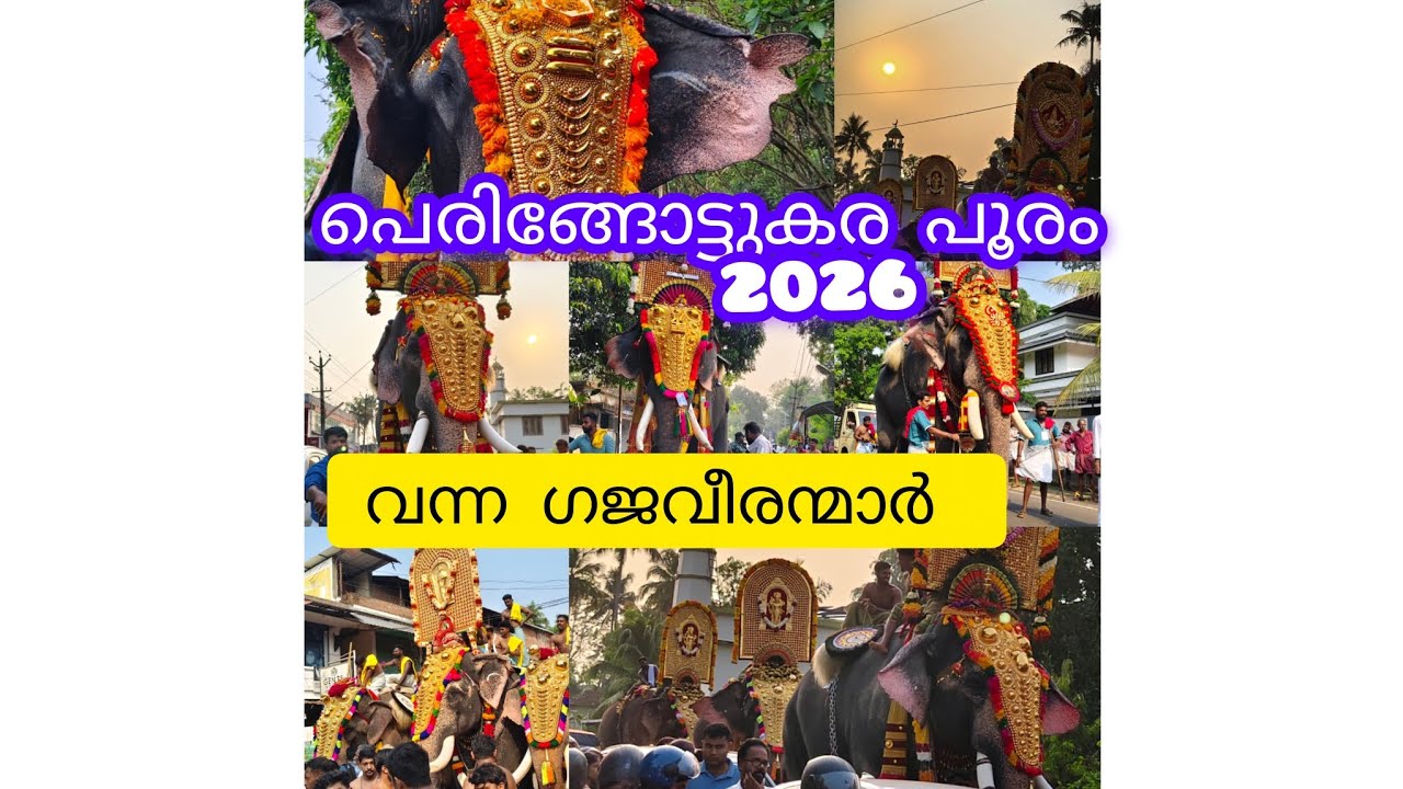 പെരിങ്ങോട്ടുകര പൂരം 2026✨ഓരോ ദേശത്ത് നിന്നും വന്ന ആനകൾ 😍#Pooram #aanakeralam #peringottukara