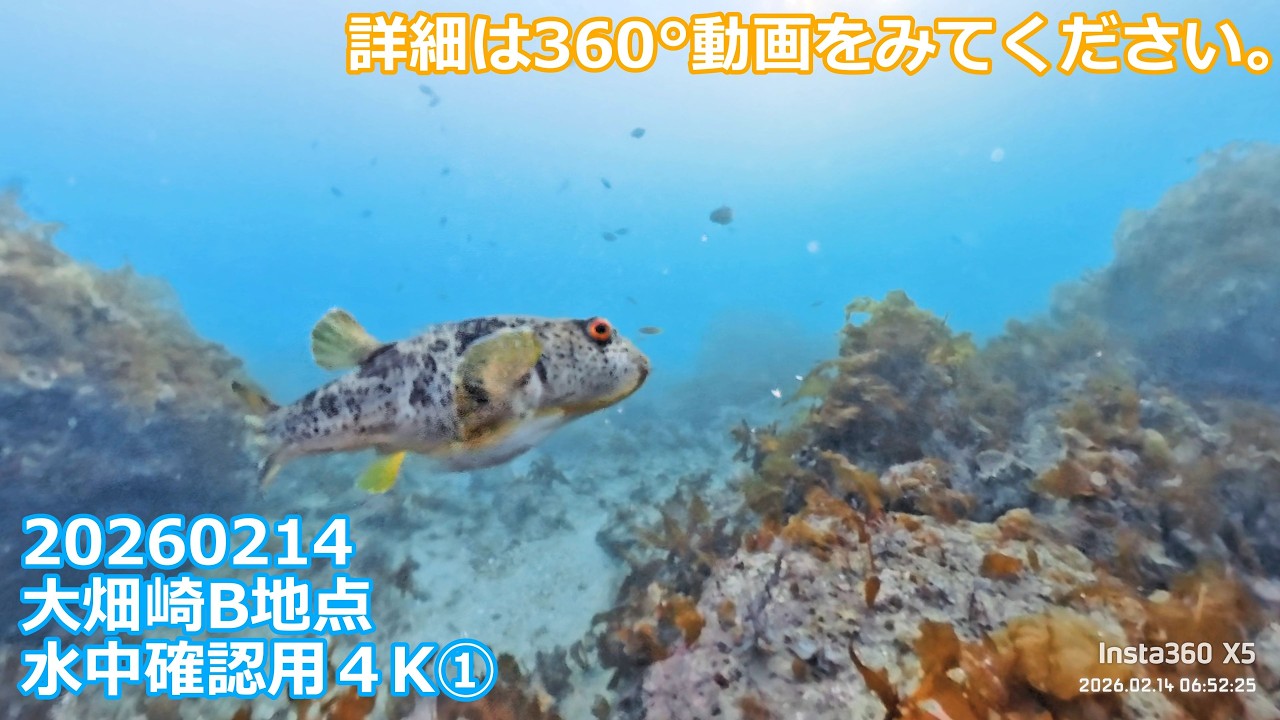 20260214X5①大畑崎B地点360°水中撮影(06:32:57～07:51:45)チャプター付き