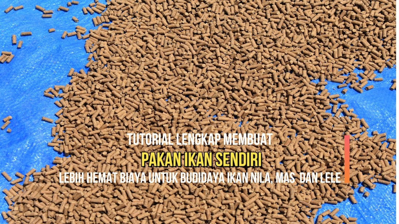 #Tutorial /Cara membuatan Pakan Ikan Nila - Membuat Pelet Ikan Nila Berprotein 28 - 30 persen