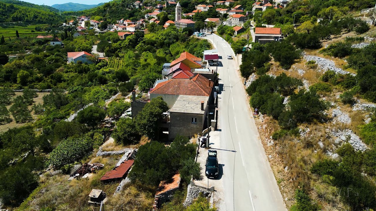 Čara, Pošip vineyard, Korčula, Croatia 2024