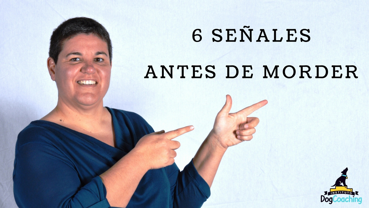 Las 6 señales previas que da un perro antes de morder