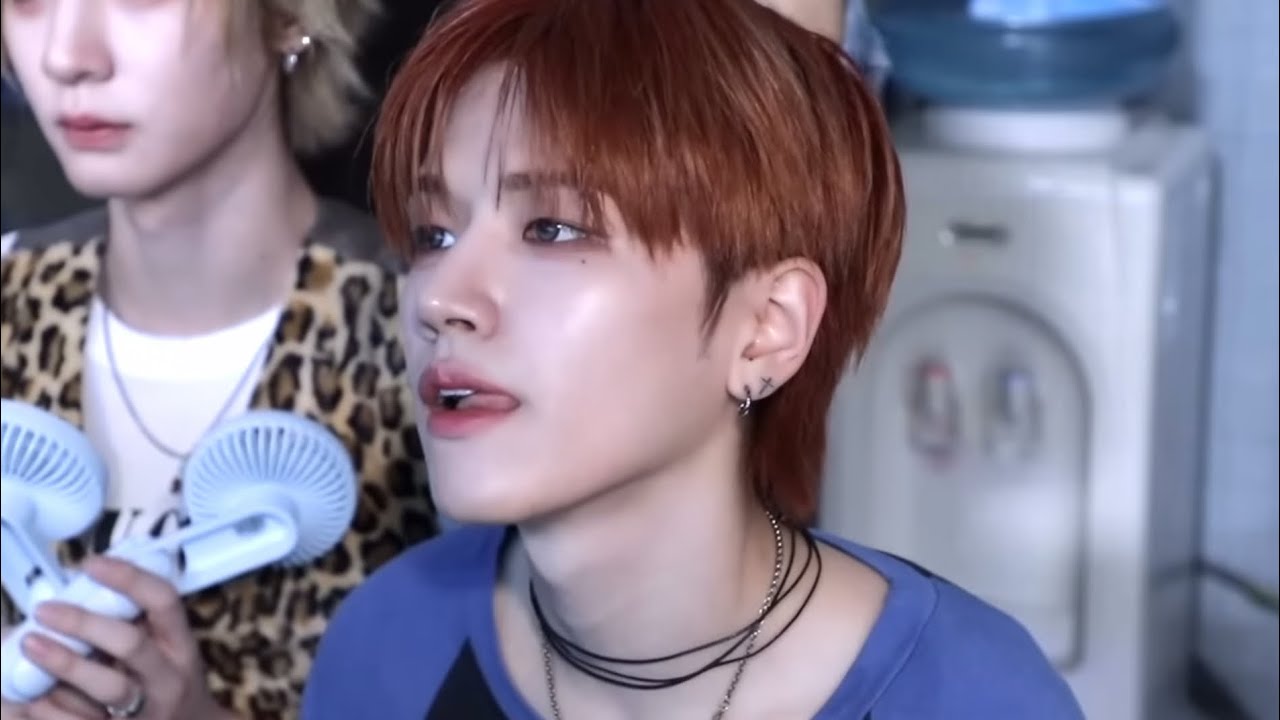 여우인 척 하는 곰인 척 하는 여우