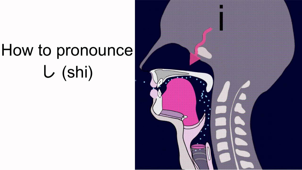 How to Pronounce Japanese Shi