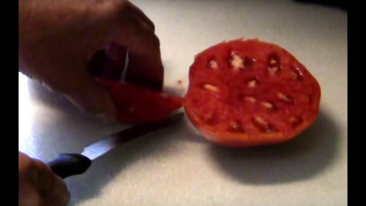 Belgium Giant Heirloom Tomato Taste Test.