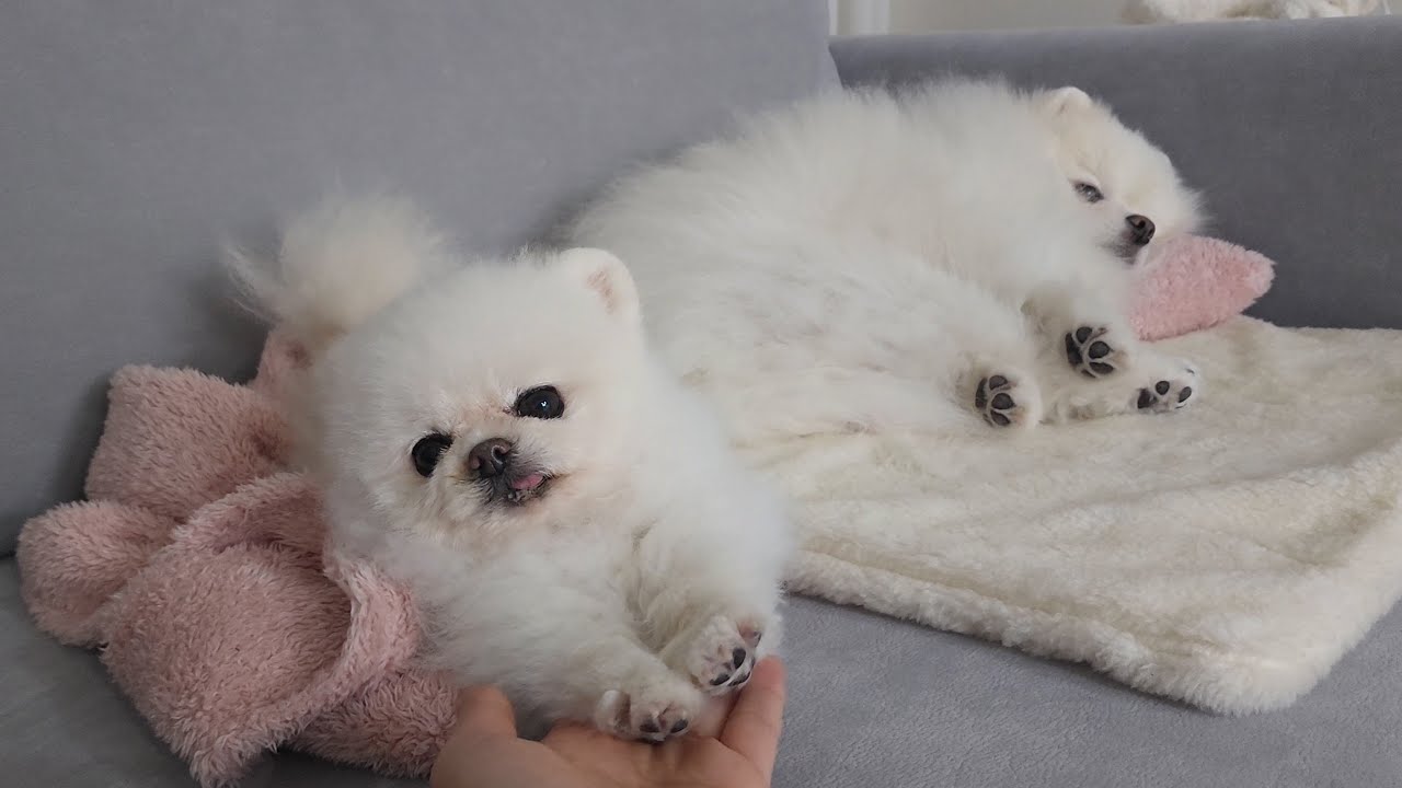 카메라 욕심이 많은 편