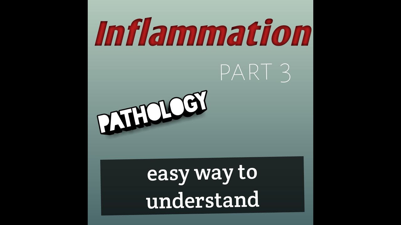 Acute Inflammation, cellular events, Inflammation part 3