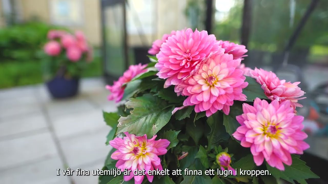 Solgården - särskilt boende