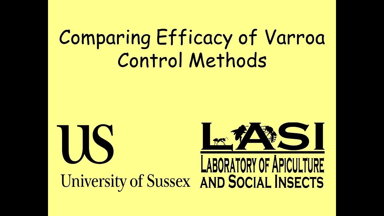 Comparing Efficacy of Varroa Control Methods