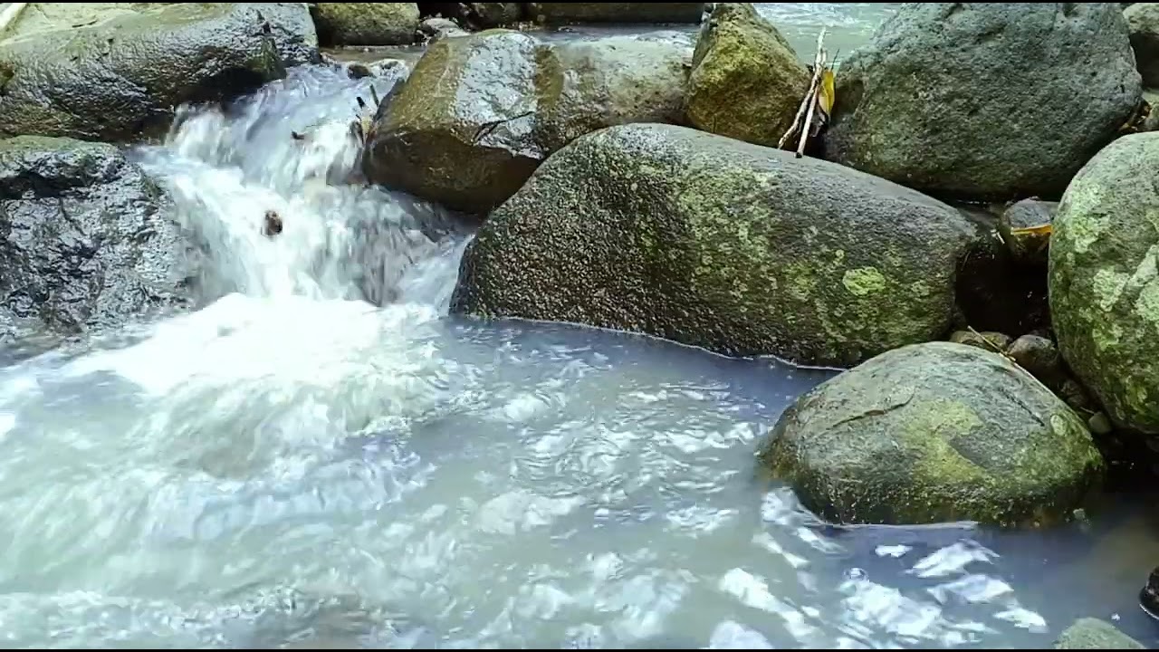 Forest Ambience Beautiful Stream Sounds For Peaceful Study , Rest , Medicine , Sleep
