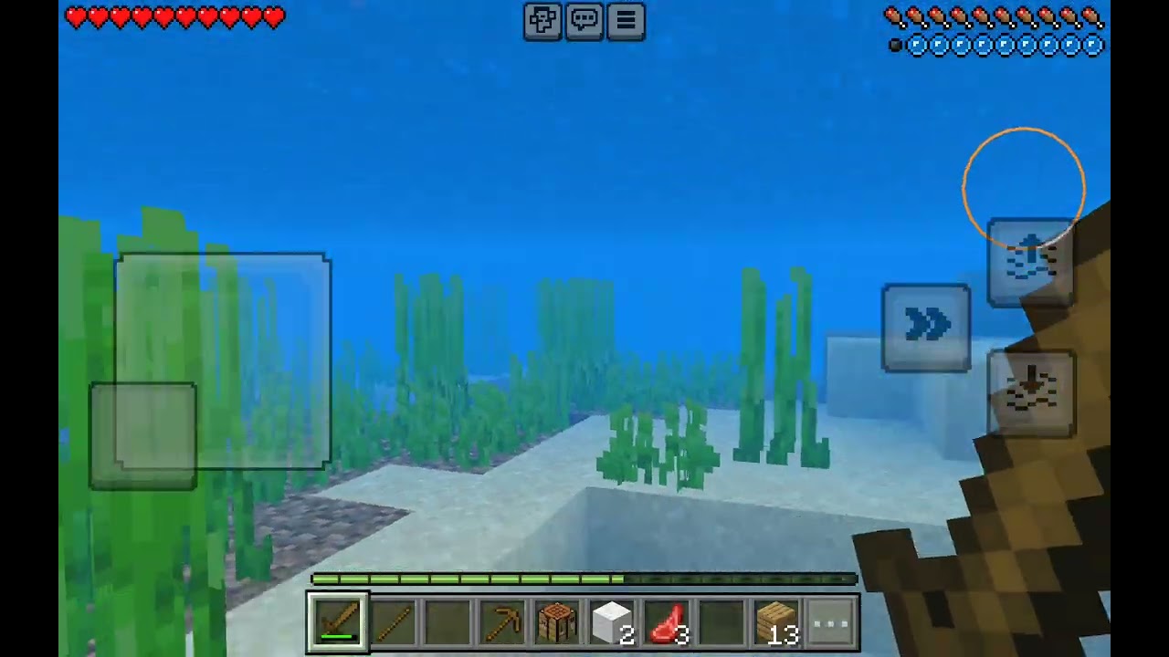 I played Minecraft 