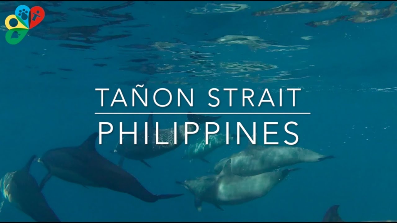 Tañon Strait - Biodiversity Management Bureau