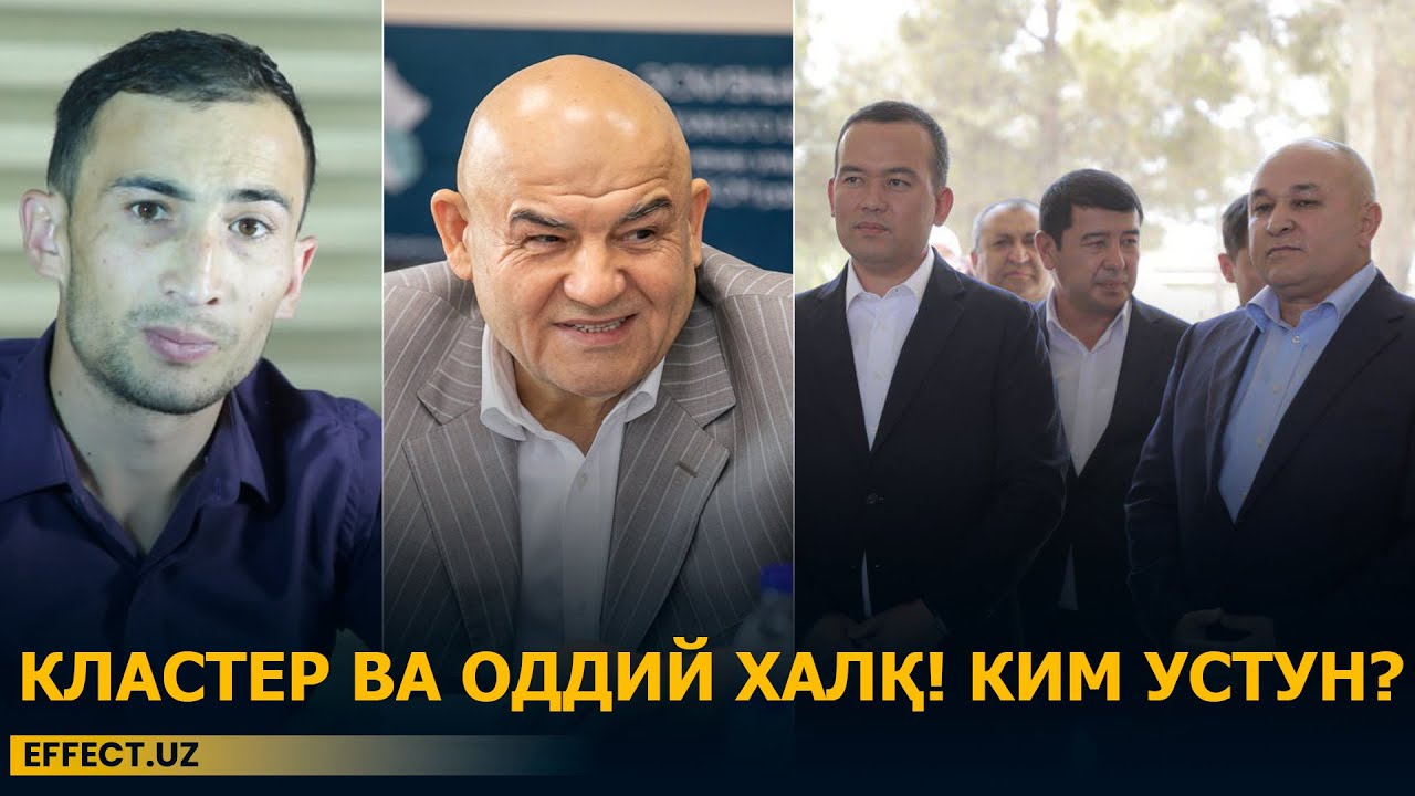 ҲАР БАҲОРДА ШУ БЎЛАР ТАКРОР: КЛАСТЕРЛАР НЕГА ОДАМЛАРНИ ИШОНТИРА ОЛМАЯПТИ? – EFFECT.UZ
