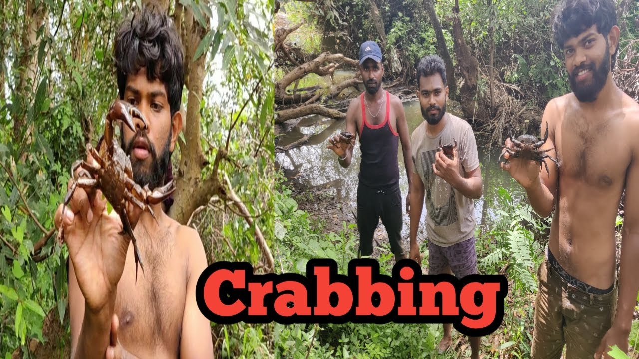 Catching stone crab in village kannada￨Stone crab￨Gurupura Village￨Part 2