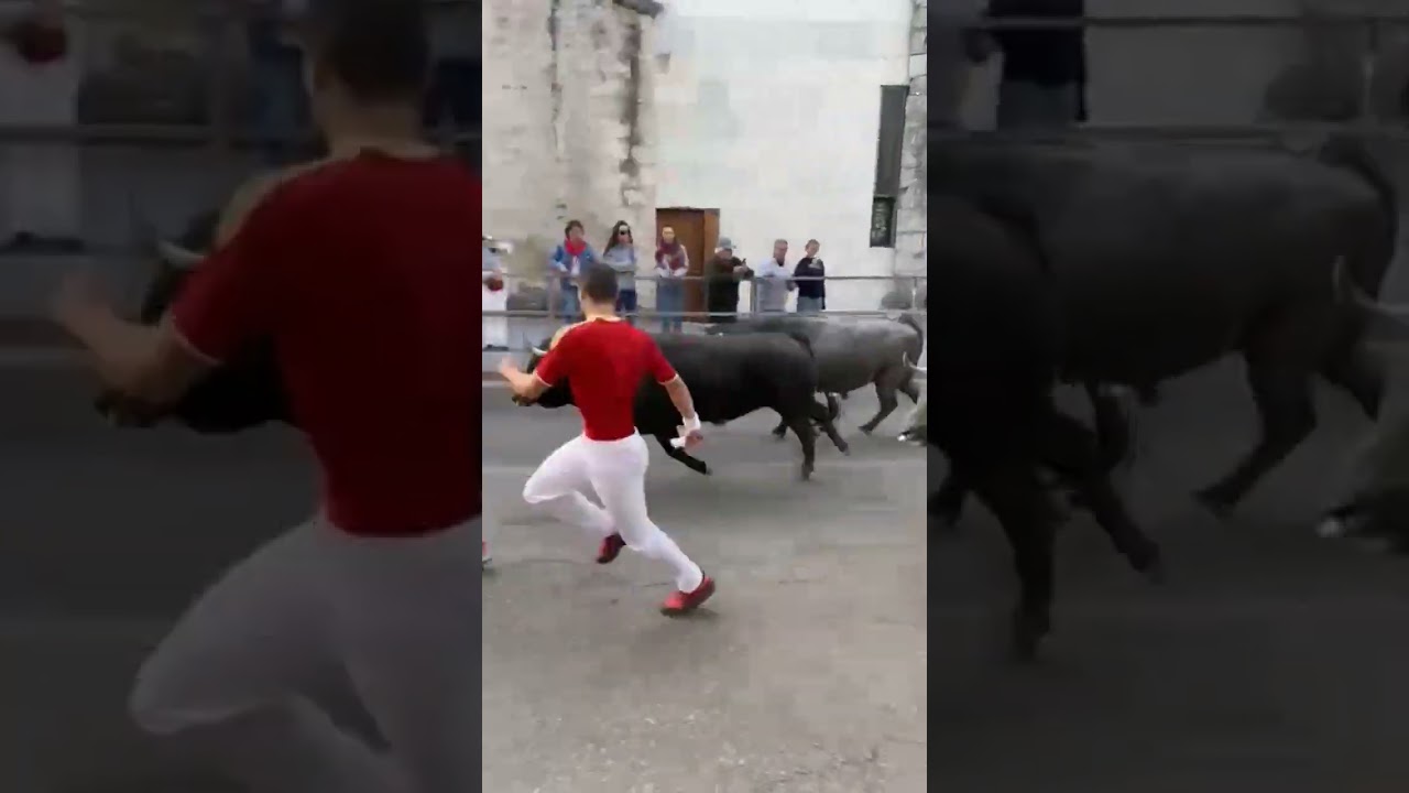 Segundo encierro de Cu&eacute;llar 2025//Calles #toros #encierros #cuellar #2025 #calles