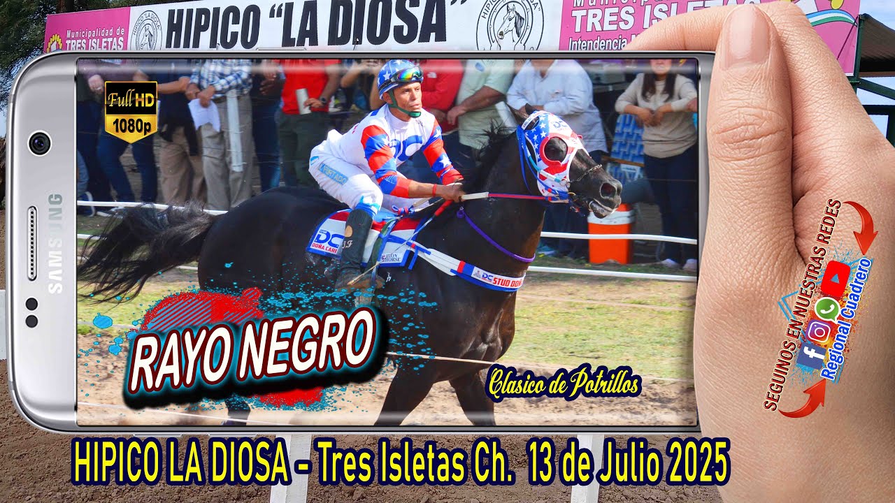 RAYO NEGRO-Clasico de Potrillos- Hipico La Diosa- Tres isletas Ch. Domingo 13-07-25