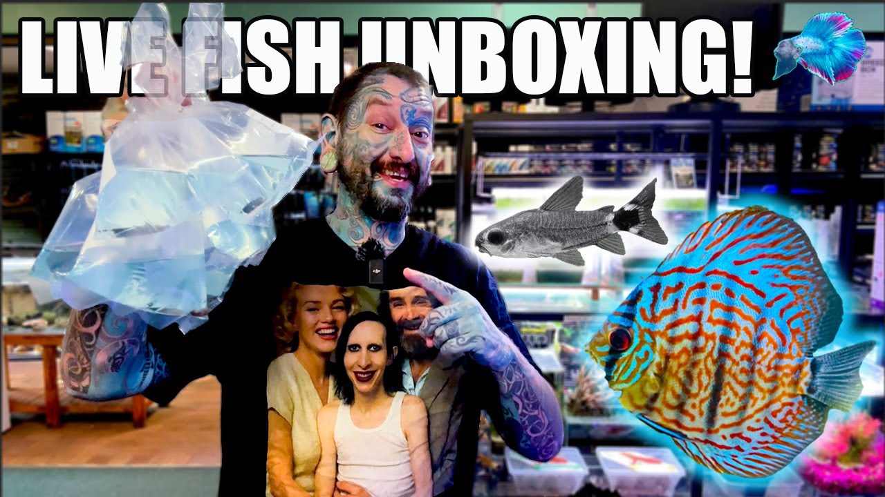 UNBOXING WEIRD AQUARIUM FISH! ~FANCY ALBINO CATFISH!