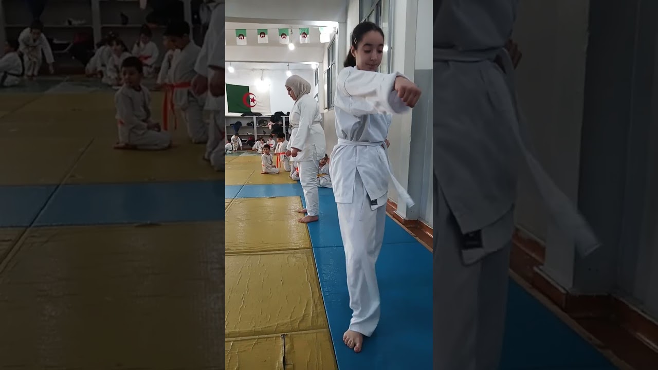 Passage de grade KARATE DSBH
