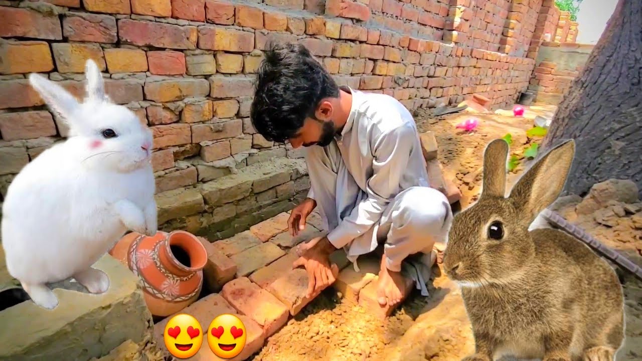 Rescue Rabbits Building Mud House | Building UnderGround Rabbit House | Gaon Ke Shauk