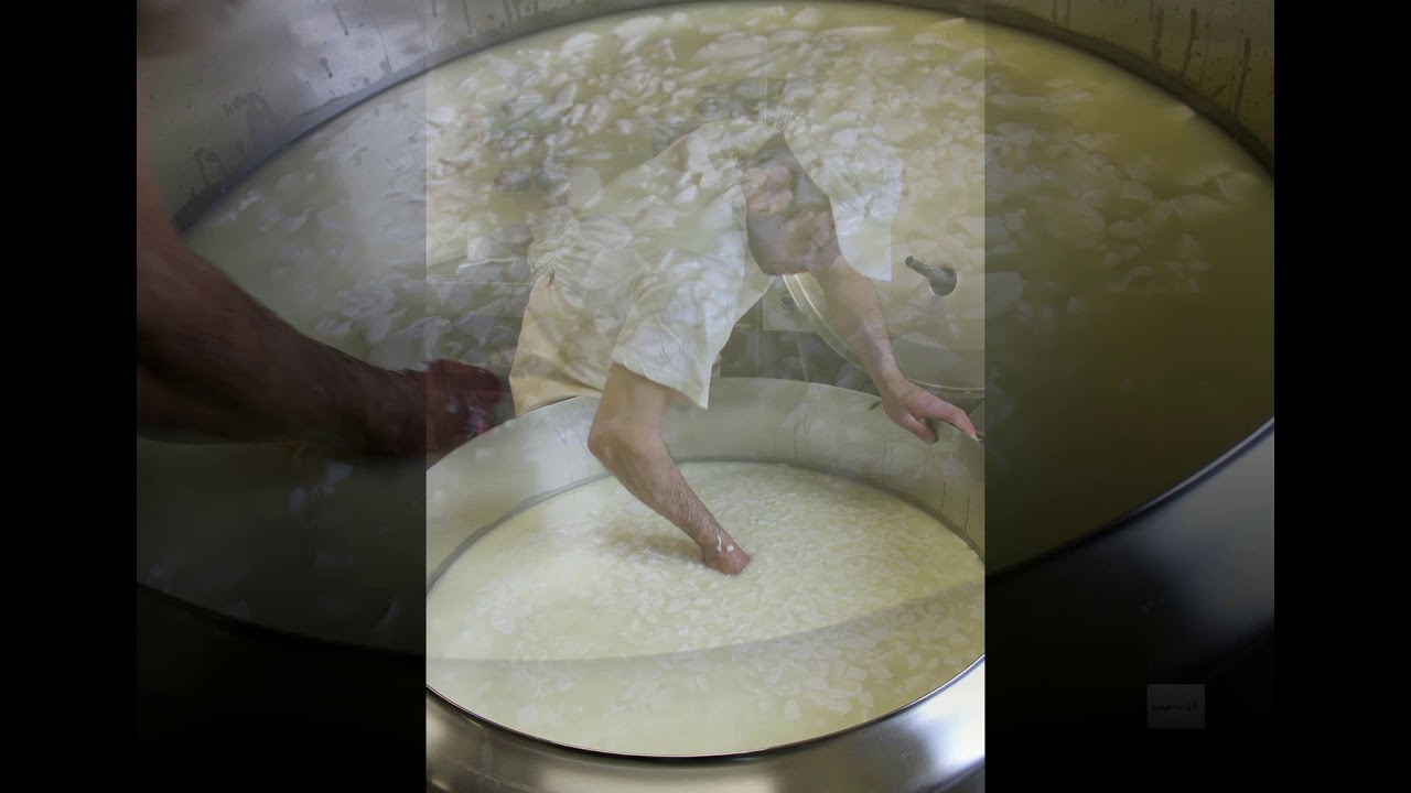 Il formaggio di capra tra passione e dedizione