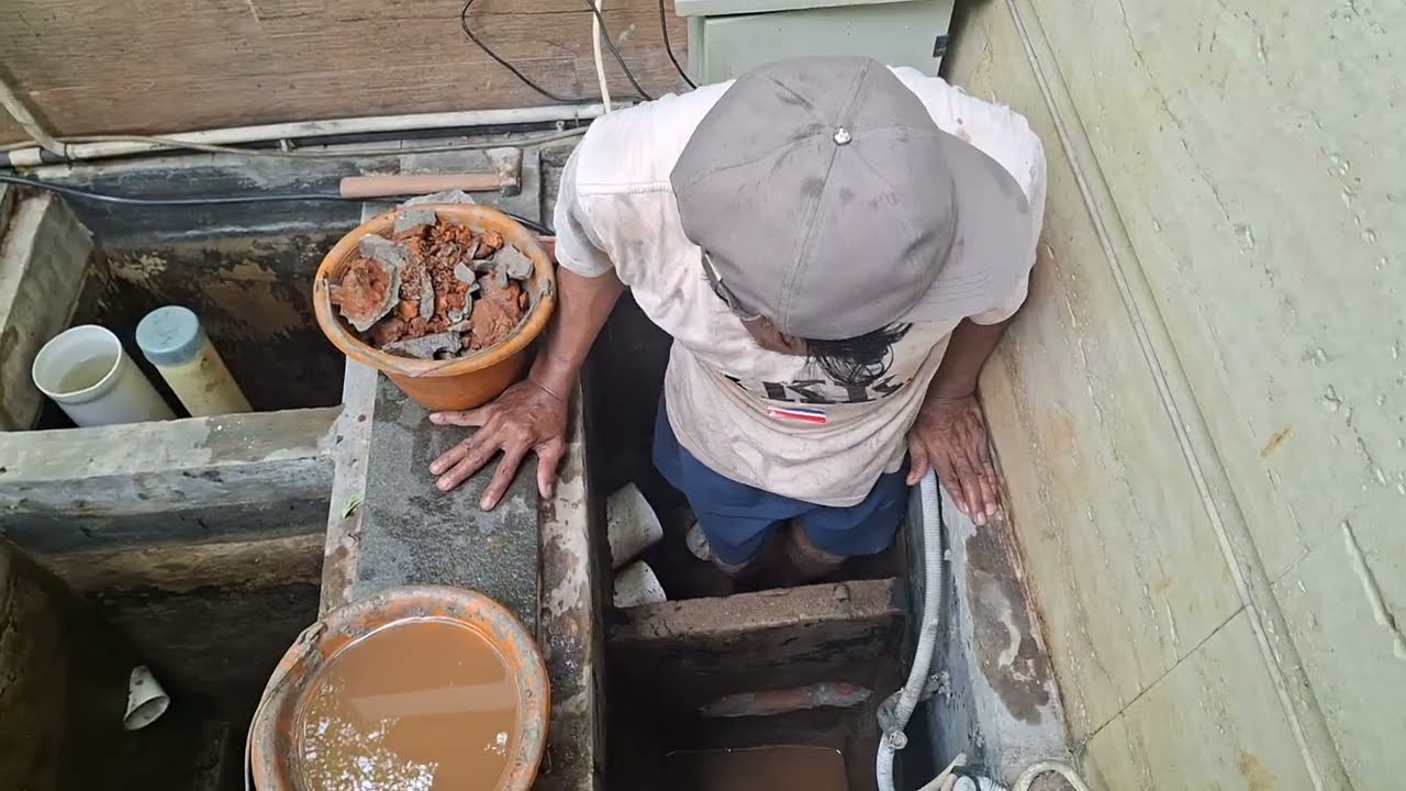 Walaupun kolam ini  kecil tapi banyak ikan hiasnya ikan koi koki lele albino binatang peliharaan 