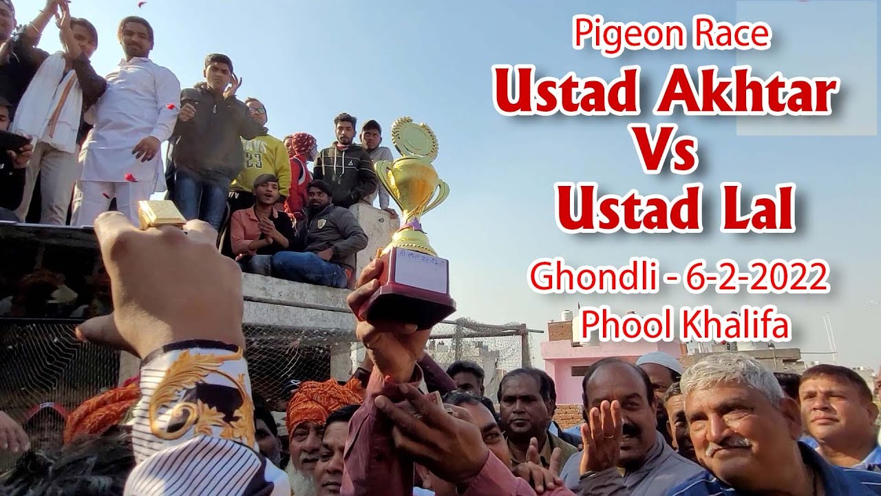 Phool Khalifa | Ustad Akhtar Vs Ustad Lal Pigeon Race  | Ghondli Pigeon Race | Delhi Ki Kabutar Bazi