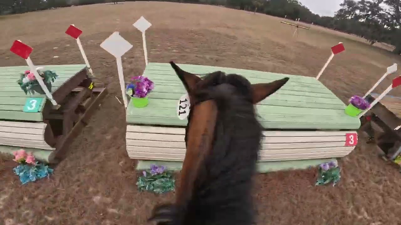 GoPro: Lissavorra Quality (Open Intermediate | 2026 Rocking Horse Winter I Horse Trials)