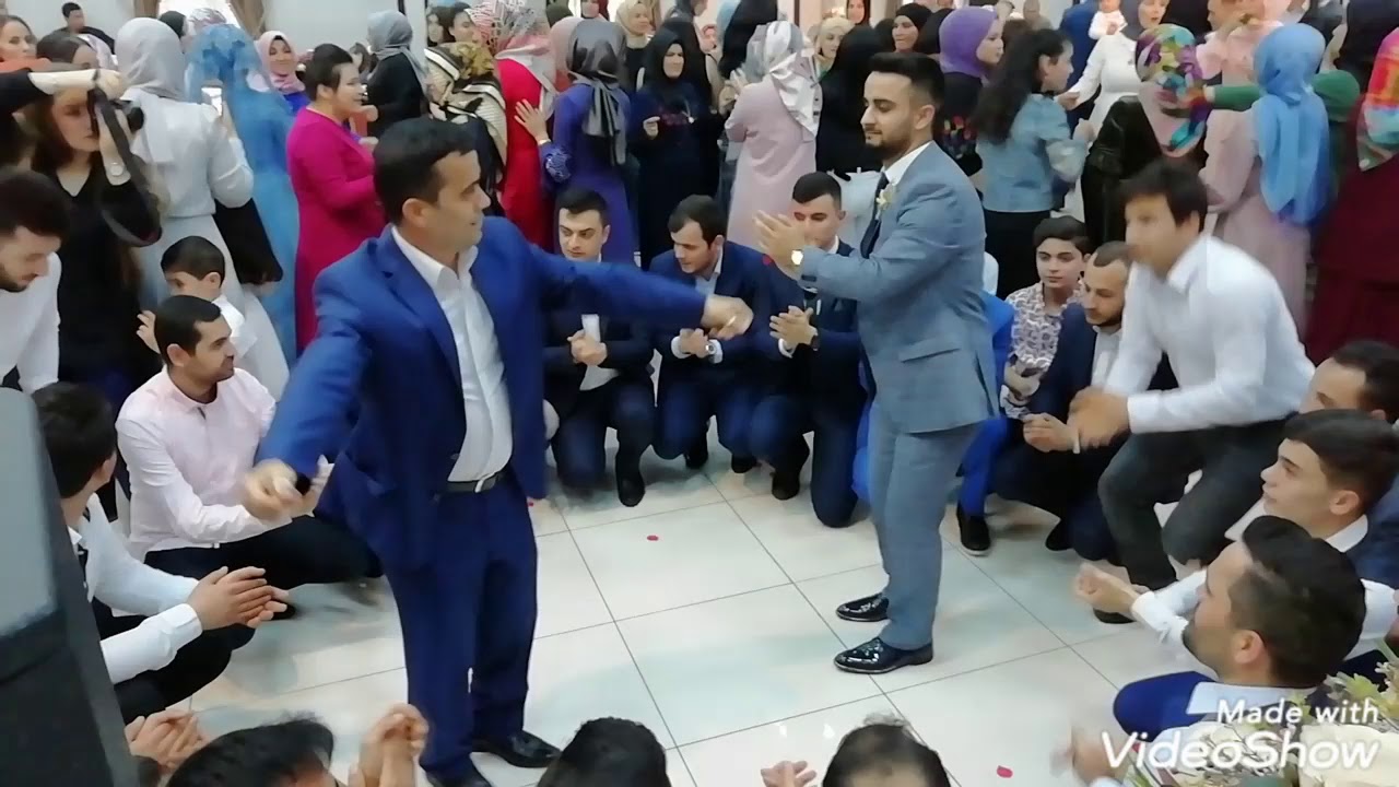 GÜNEBAKAN ERİK DALI