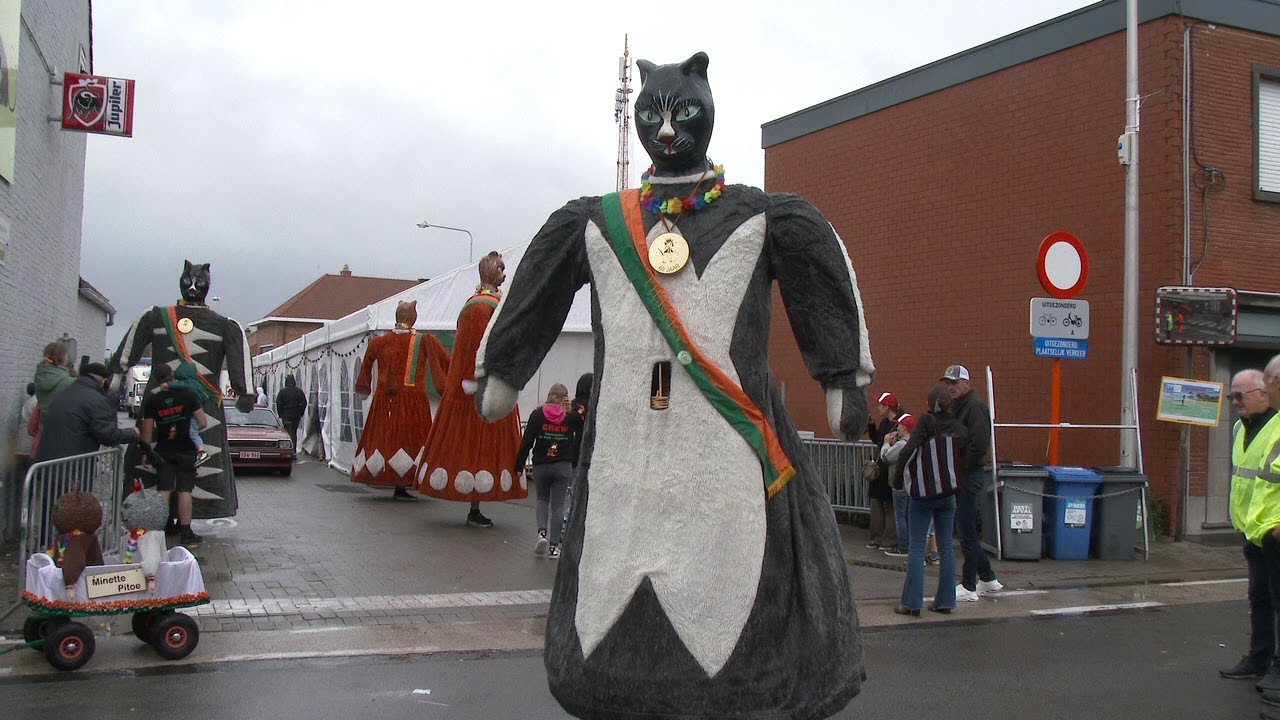 de volledige   kattenstoet   in zelzate   op  6  Augustus