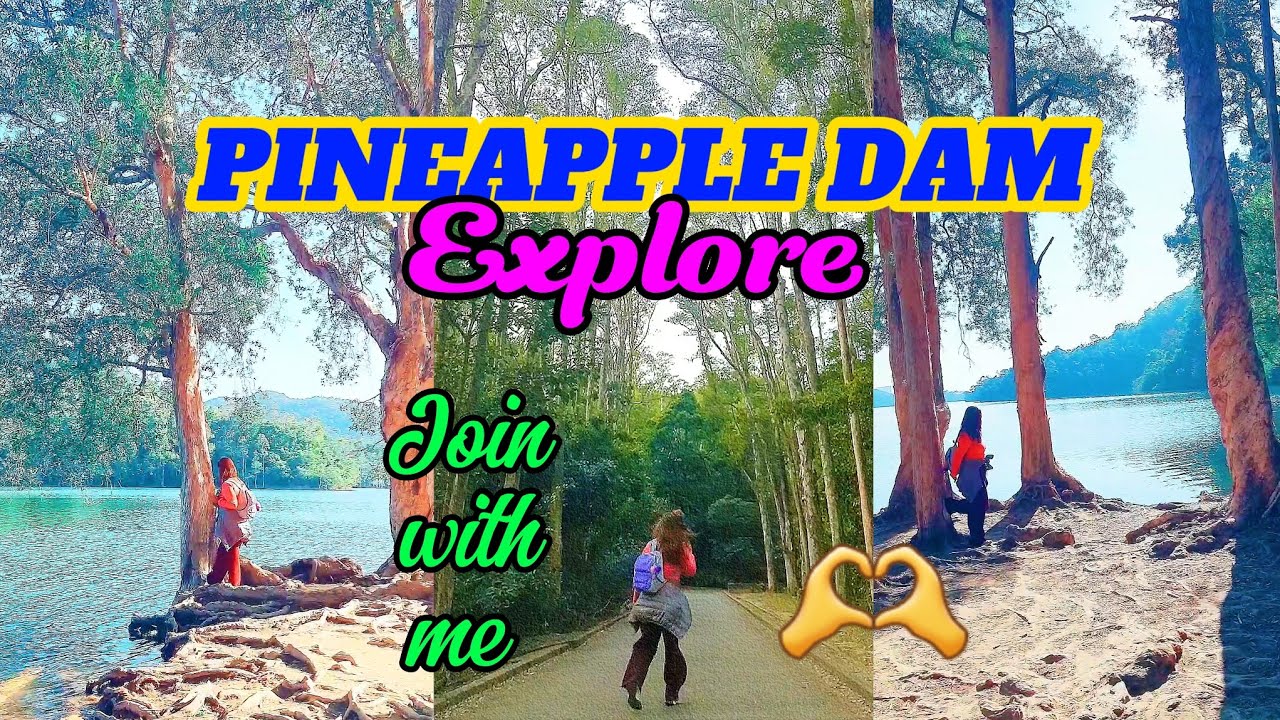 EXPLORING PINEAPPLE DAM NATURE TRAIL IN SHING MUN 😍