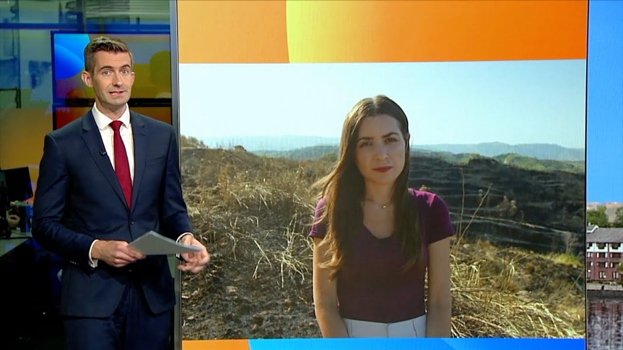 BBC Breakfast: Are arsonists behind the wildfires in Italy?