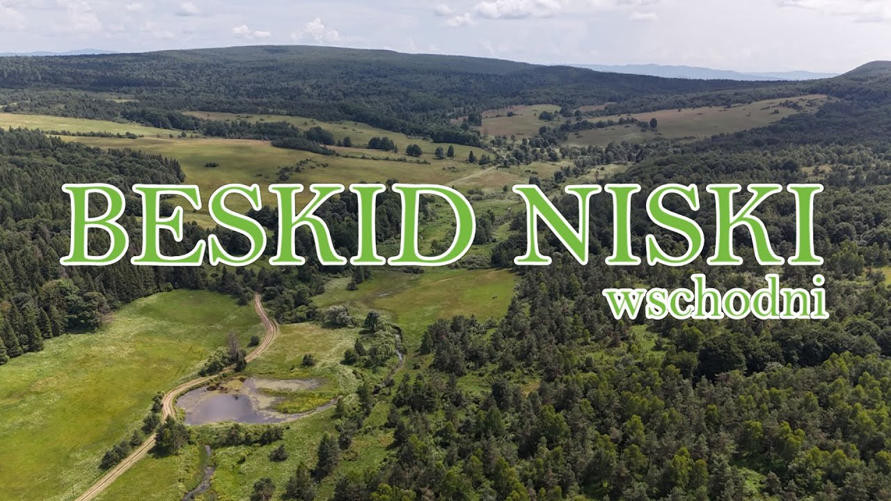 Beskid Niski - wschodni | Źródliska Jasiołki🌲Polany Surowiczne🌲Jaśliska | 2024