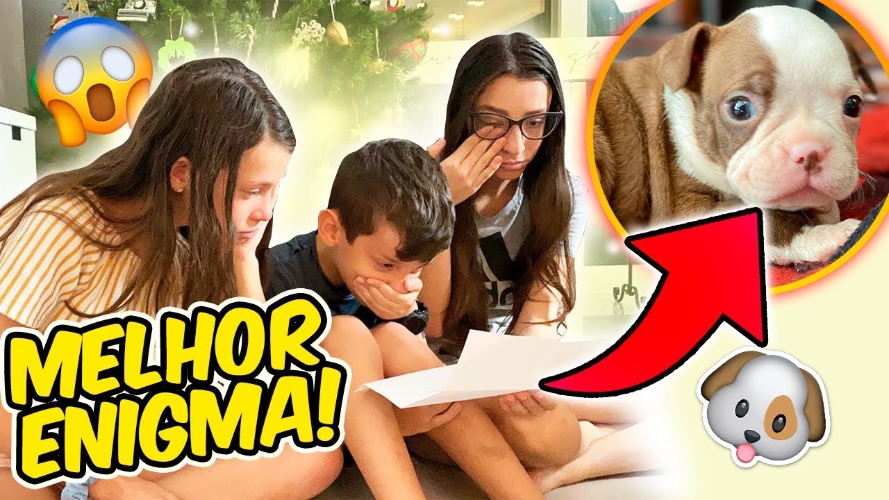 MELHOR ENIGMA DAS NOSSAS VIDAS - TENTE NÃO CHORAR! GANHAMOS UM CACHORRO 🐶