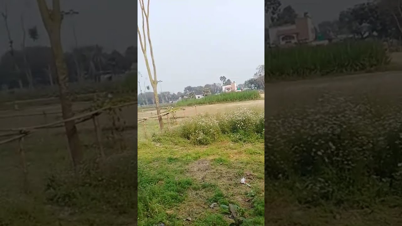 thisis my village live!