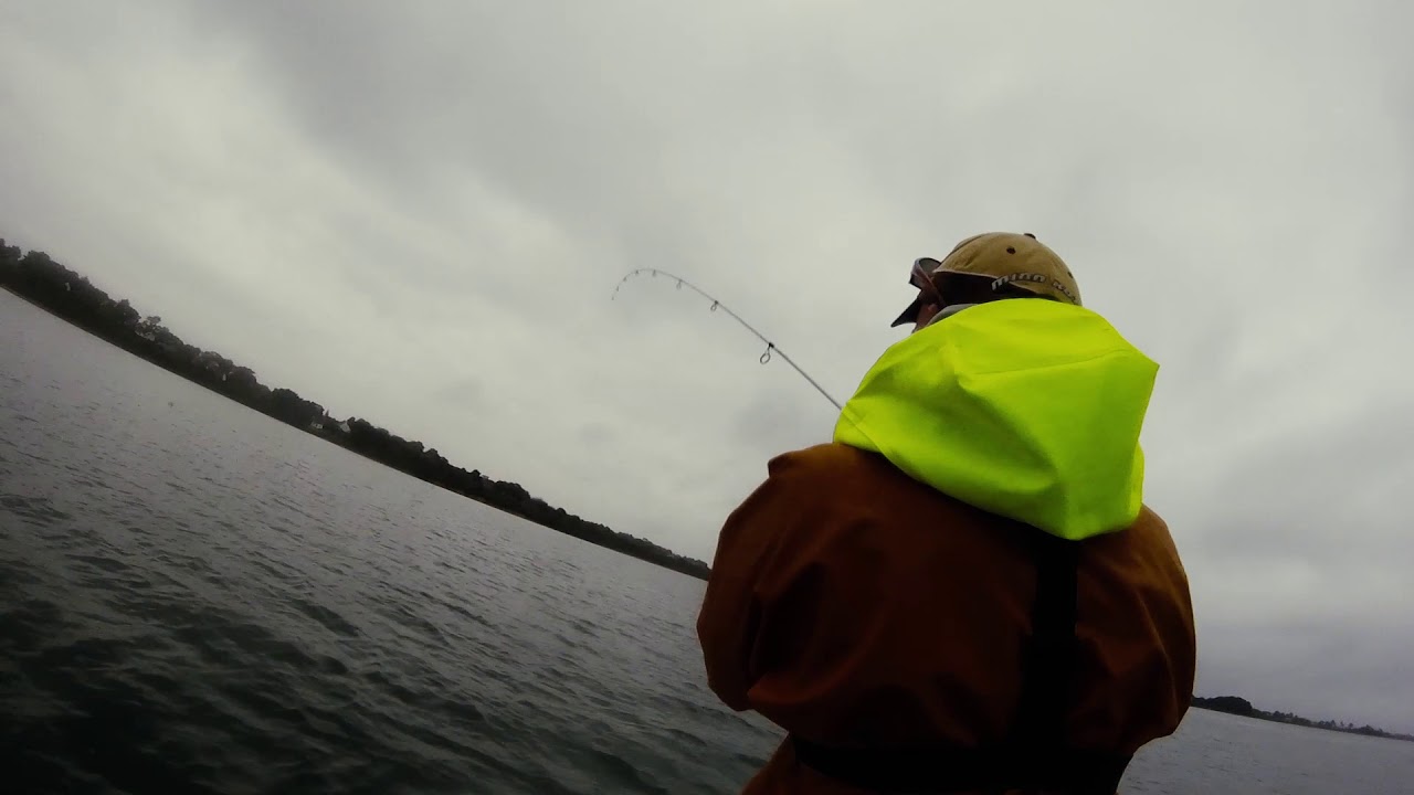 Golfe du Morbihan Octobre 2017