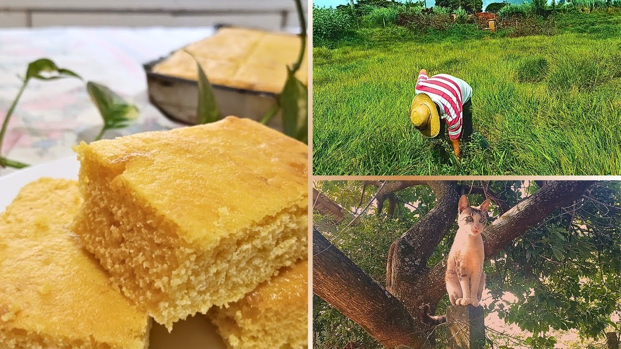 Cuidando do Pasto e Arrancando Ervas Daninhas + Receita! 🍰