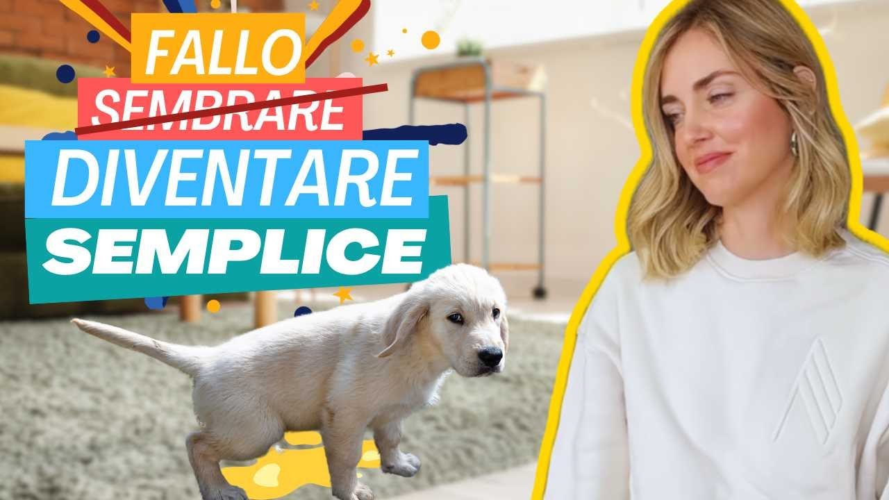 SMETTI di PULIRE: ascolta i miei consigli insegnare al cucciolo a fare i BISOGNI fuori sarà SEMPLICE