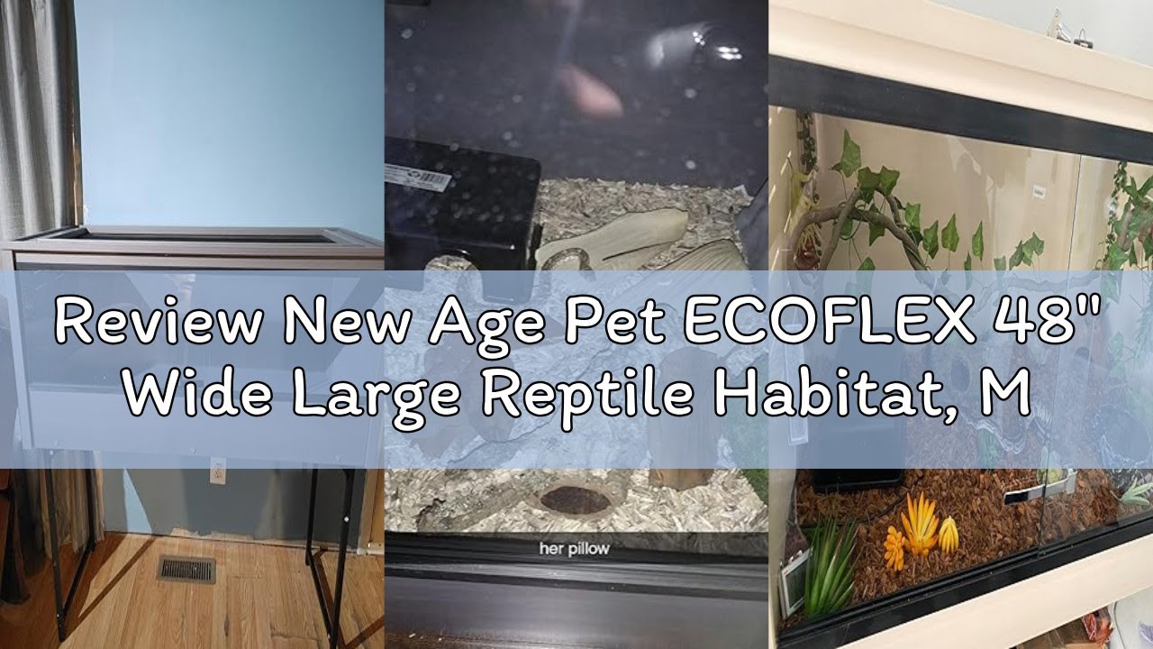 Review New Age Pet ECOFLEX 48
