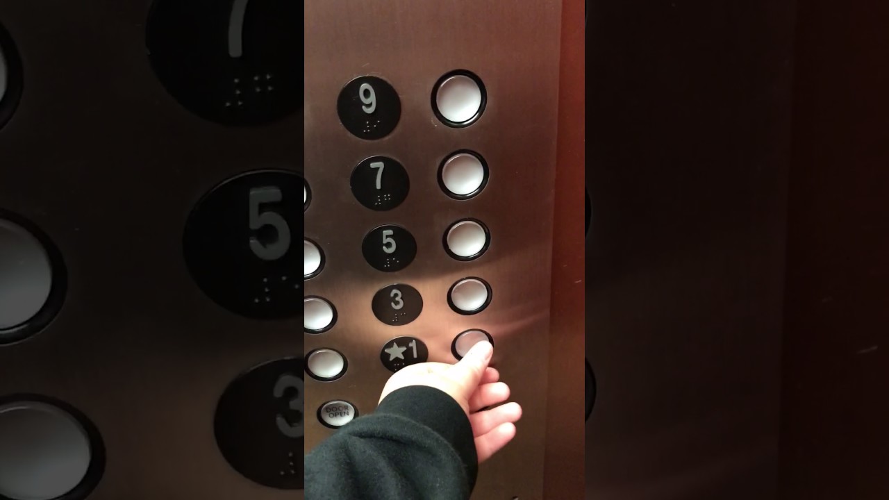 Pressing all the buttons of the elevator