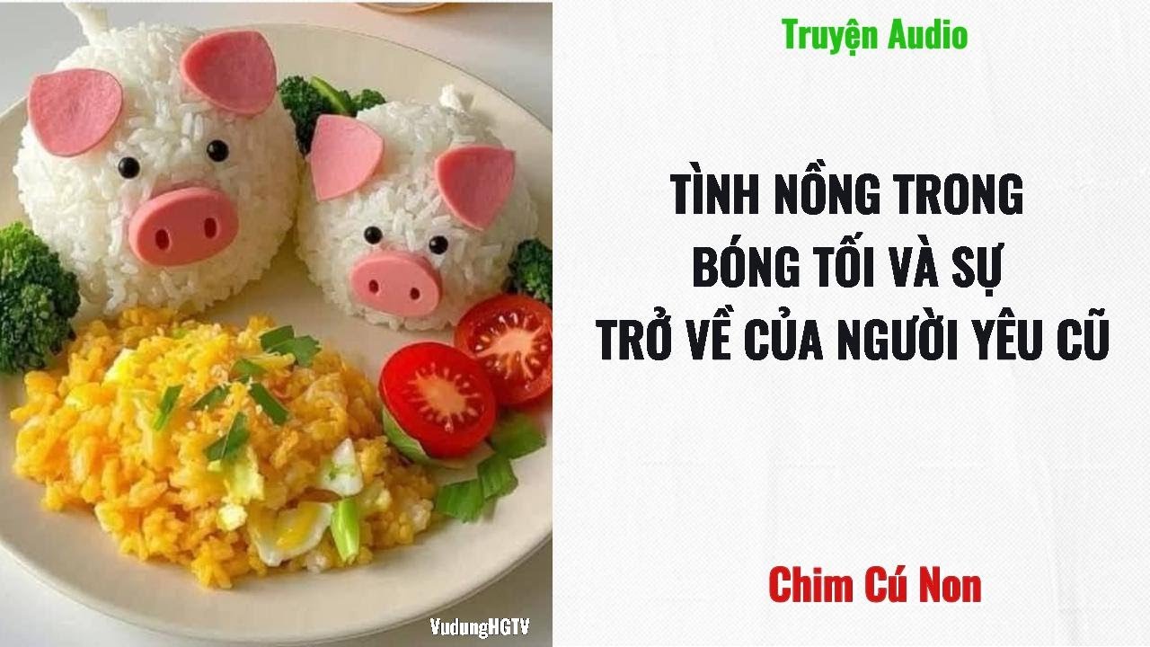 [Truyện Audio] TÌNH NỒNG TRONG BÓNG TỐI VÀ SỰ TRỞ VỀ CỦA NGƯỜI YÊU CŨ | Chim Cú Non