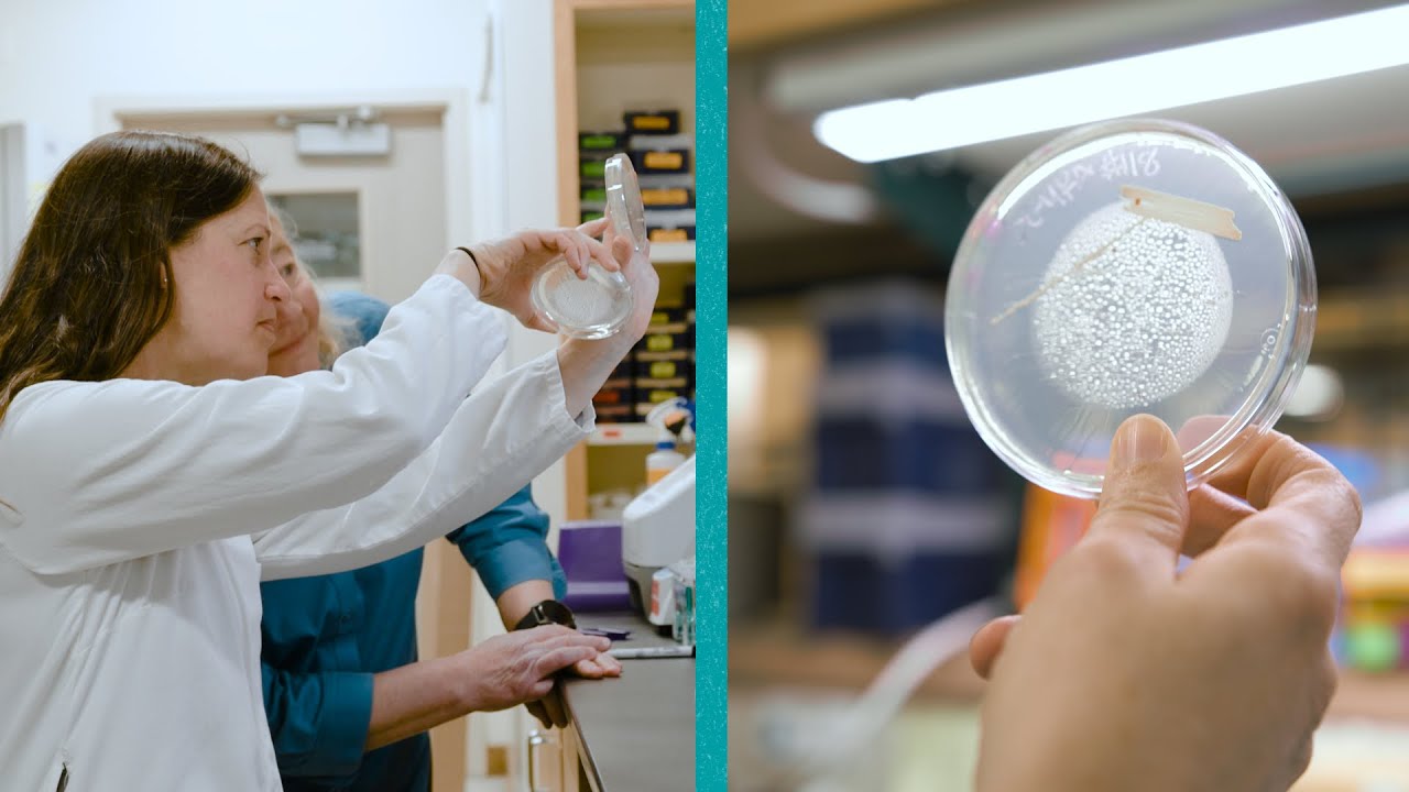 40 Years of Innovation: How Pew&rsquo;s Biomedical Programs Have Transformed Science