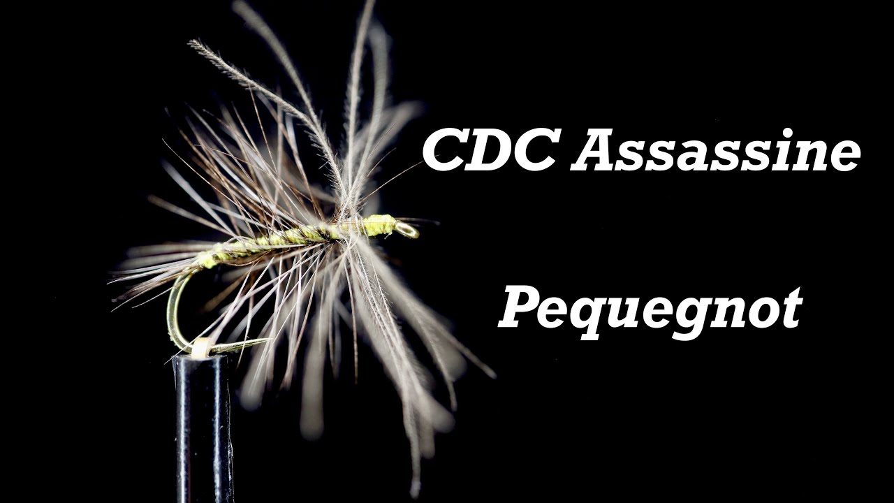 Убийца CDC - доктор Жан Поль Пекеньо